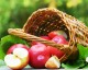 Fruits de Provence